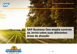 SAP Business One amplia controle da Jeriv&aacute; sobre suas