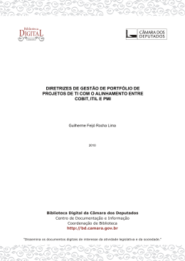 Diretrizes de Gest&atilde;o de Portfolio de Projetos de TI