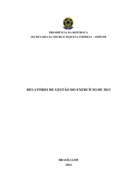 2013 - Secretaria da Micro e Pequena Empresa