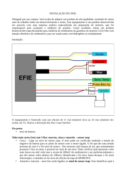 INSTALA&Ccedil;&Atilde;O DO EFIE: Obrigado por sua compra. Voc&ecirc; acaba de