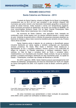 RESUMO EXECUTIVO Santa Catarina em N&uacute;meros - 2013
