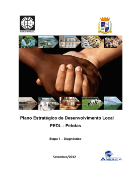 Etapa 1 - Diagn&oacute;stico - Prefeitura Municipal de Pelotas