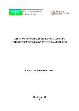 estudo das propriedades estruturais locais de fluidos magn&eacute;ticos