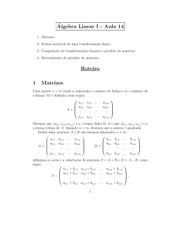 &acute;Algebra Linear I - Aula 14 Roteiro 1 Matrizes