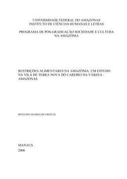 Disserta&ccedil;&atilde;o - Rivelino Soares de Freitas - TEDE