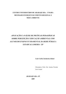 Dissertação de Mestrado_Aplicação e Análise de Práticas