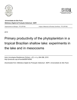 Primary productivity of the phytoplankton in a tropical Brazilian