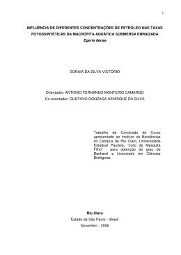 1 influ&ecirc;ncia de diferentes concentra&ccedil;&otilde;es de petr&oacute;leo nas
