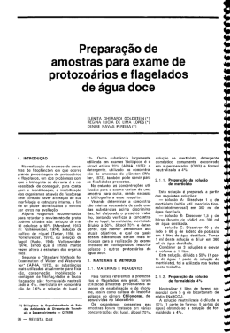 Prepara&ccedil;&atilde;o de