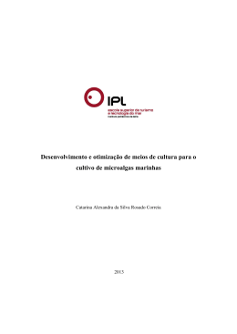Relatório Estágio Catarina Rosado Correia - IC-Online