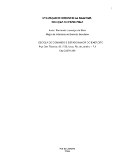 1 UTILIZA&Ccedil;&Atilde;O DE DIRIG&Iacute;VEIS NA AMAZ&Ocirc;NIA