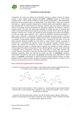 (Integra&ccedil;&atilde;o do Metabolismo bom)
