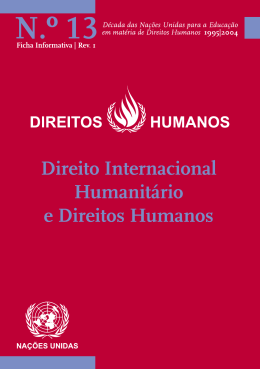 Direito Internacional Humanit&aacute;rio e Direitos Humanos