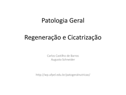 Patologia Geral Regeneração e Cicatrização