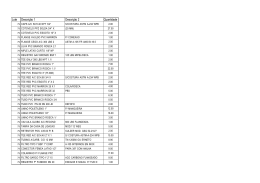 Lote Descrição 1 Descrição 2 Quantidade