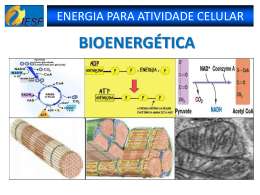 (ATP).