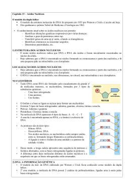 10Cap&iacute;tulo 13 &ndash; &Aacute;cidos Nucleicos