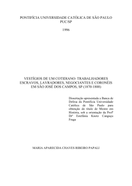 Vest&iacute;gios de um cotidiano: Trabalhadores escravos, lavradores