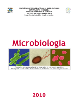 Escola Municipal Percival Xavier Rebelo