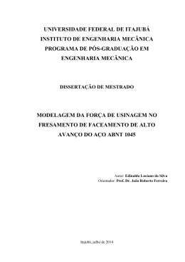 INSTITUTO DE ENGENHARIA MECÂNICA PROGRAMA DE PÓS