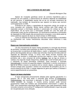 MECANISMOS DE REPARO
