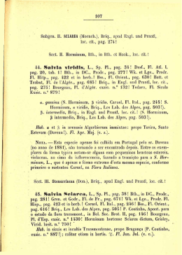 Subgen. II. SCLAREA (Moench.), Briq., apud Engl. und Prantl, loe