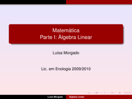 cMatemática Parte I: Álgebra Linear