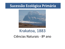 Krakatoa (sucessão primária)