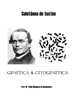 Coletânea de textos