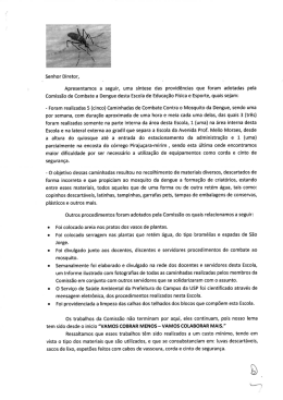 Senhor Diretor, Apresentamos a seguir, uma síntese das