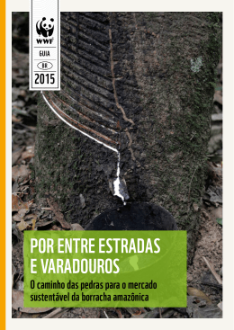 POR ENTRE ESTRADAS E VARADOUROS