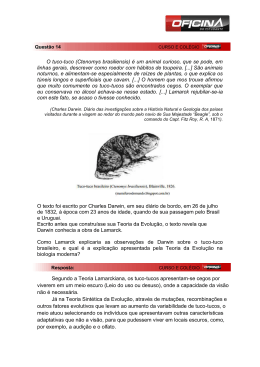 O tuco-tuco (Ctenomys brasiliensis) é um animal curioso
