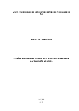 Rafael Kemerich - Monografia II