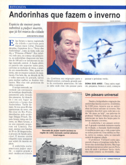 Andorinhas que fazem o inverno