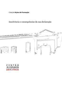 Insolv&ecirc;ncia e consequ&ecirc;ncias da sua declara&ccedil;&atilde;o (2013)
