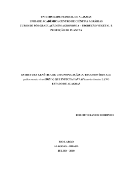 Dissertacao_Roberto Ramos Sobrinho_2010