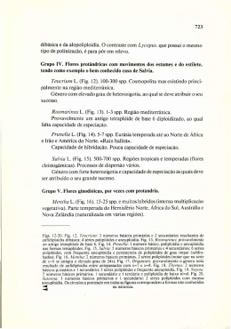 dib&aacute;sica e da alopoliploidia. O contraste com Lycopus, que possui o