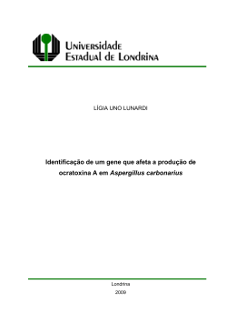 que afeta a produ&ccedil;&atilde; Aspergillus carbonarius