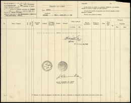 Documento Digitalizado