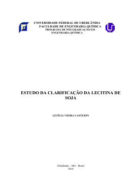 &Iacute;ndices, resumo, sum&aacute;rio, introdu&ccedil;&atilde;o e cap&iacute;tulos da
