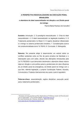 A perspectiva ressocializadora na execu&ccedil;&atilde;o penal brasileira. O