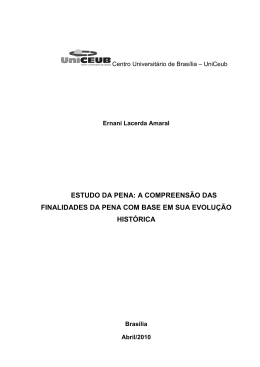 ESTUDO DA PENA: A COMPREENS&Atilde;O DAS