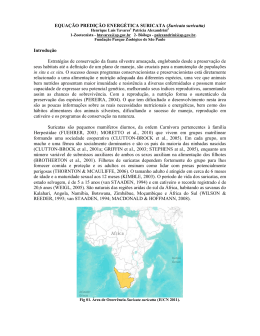 EQUA&Ccedil;&Atilde;O PREDI&Ccedil;&Atilde;O ENERG&Eacute;TICA SURICATA