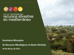 Seminário Micosylva Os Recursos Micológicos no Baixo Alentejo