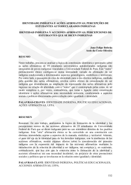 IDENTIDADE IND&Iacute;GENA E A&Ccedil;&Otilde;ES AFIRMATIVAS