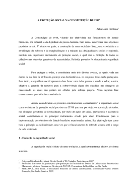 A prote&ccedil;&atilde;o social brasileira - revista internacional direito e cidadania