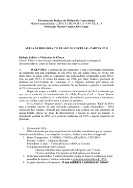 Arquivo 01