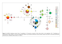 Figure S1. MtDNA haplotype network from 17 populations