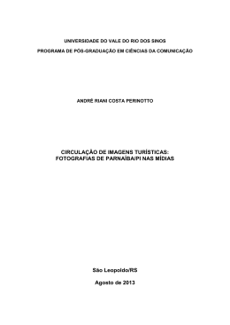 André Riani Costa Perinotto