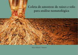 Coleta de amostras de raízes e solo para análise